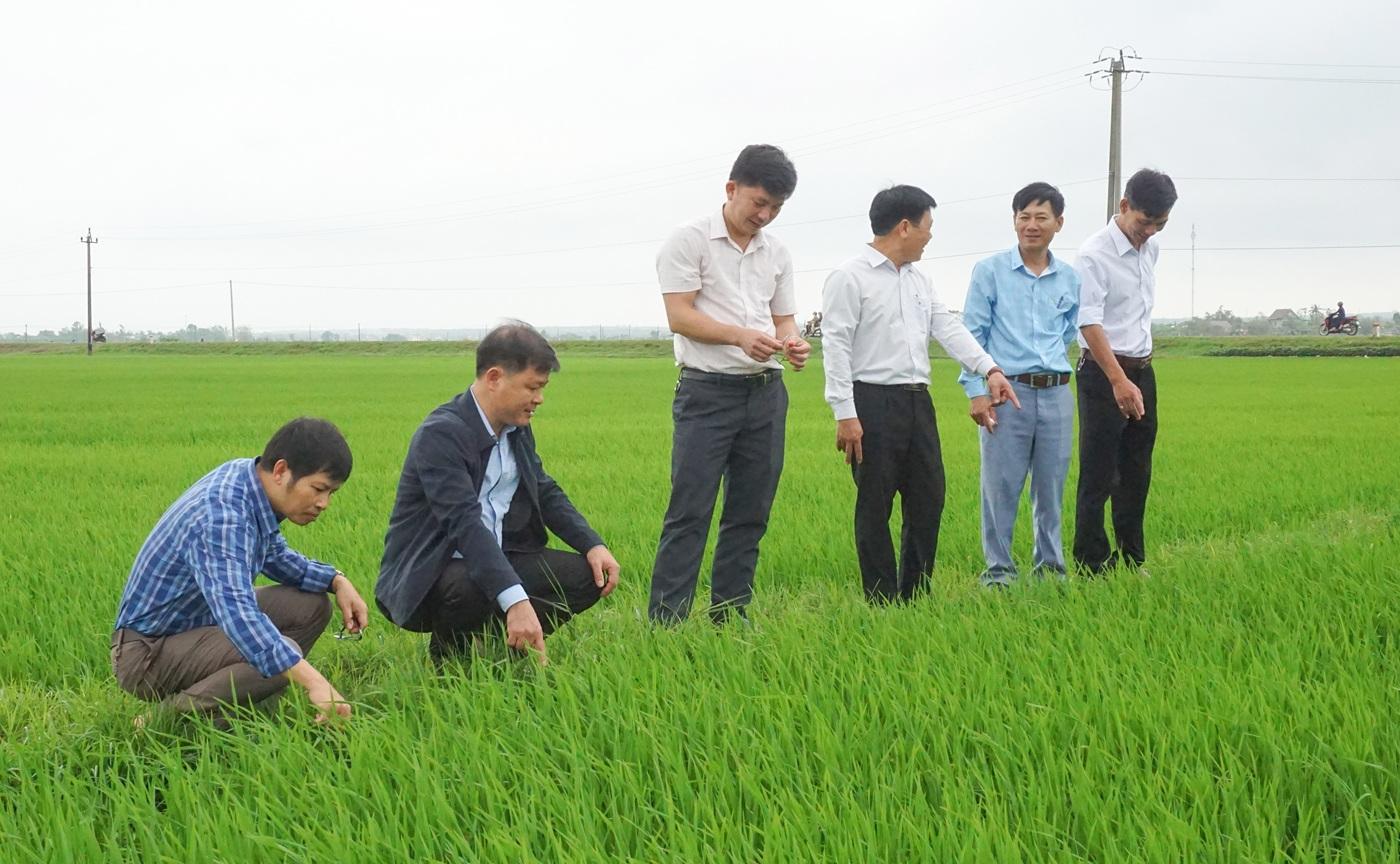 Chủ tịch UBND xã Vĩnh Thủy đối thoại trực tiếp với dân về đất đai, thủ tục hành chính, môi trường